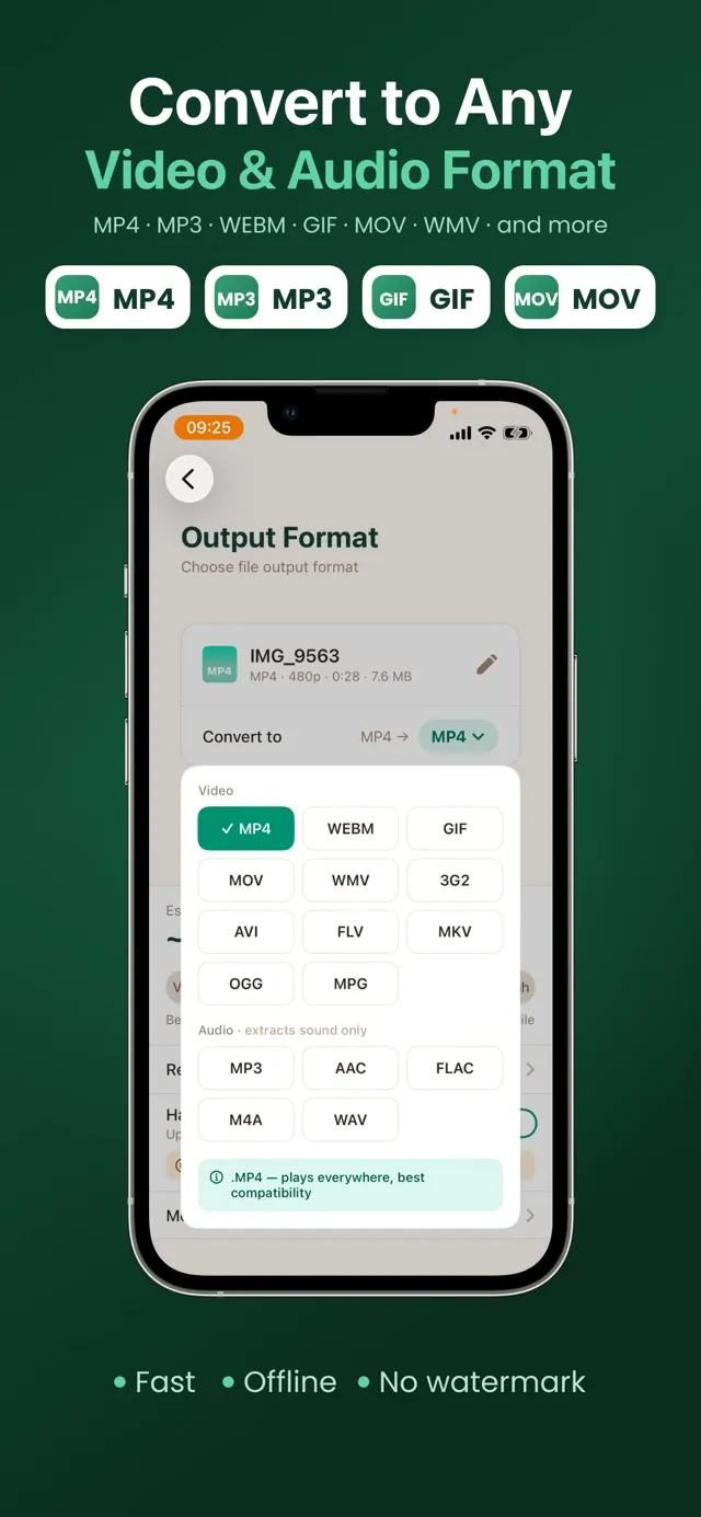Choosing the output format in Video & Image Converter: MP4, MOV, WEBM, GIF, MP3 and more