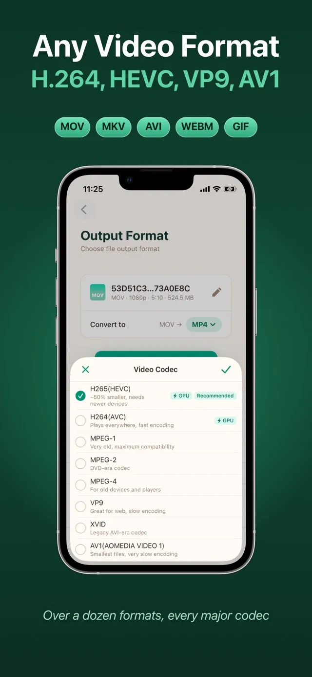 Choosing a video codec on iPhone: HEVC, H.264, VP9, AV1 and more